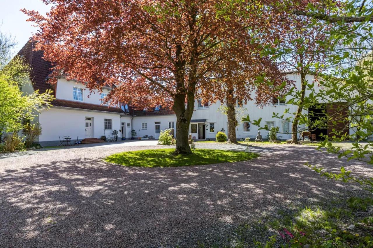 Denkerhof Ferienwohnung Deichblick Reußenköge Екстериор снимка